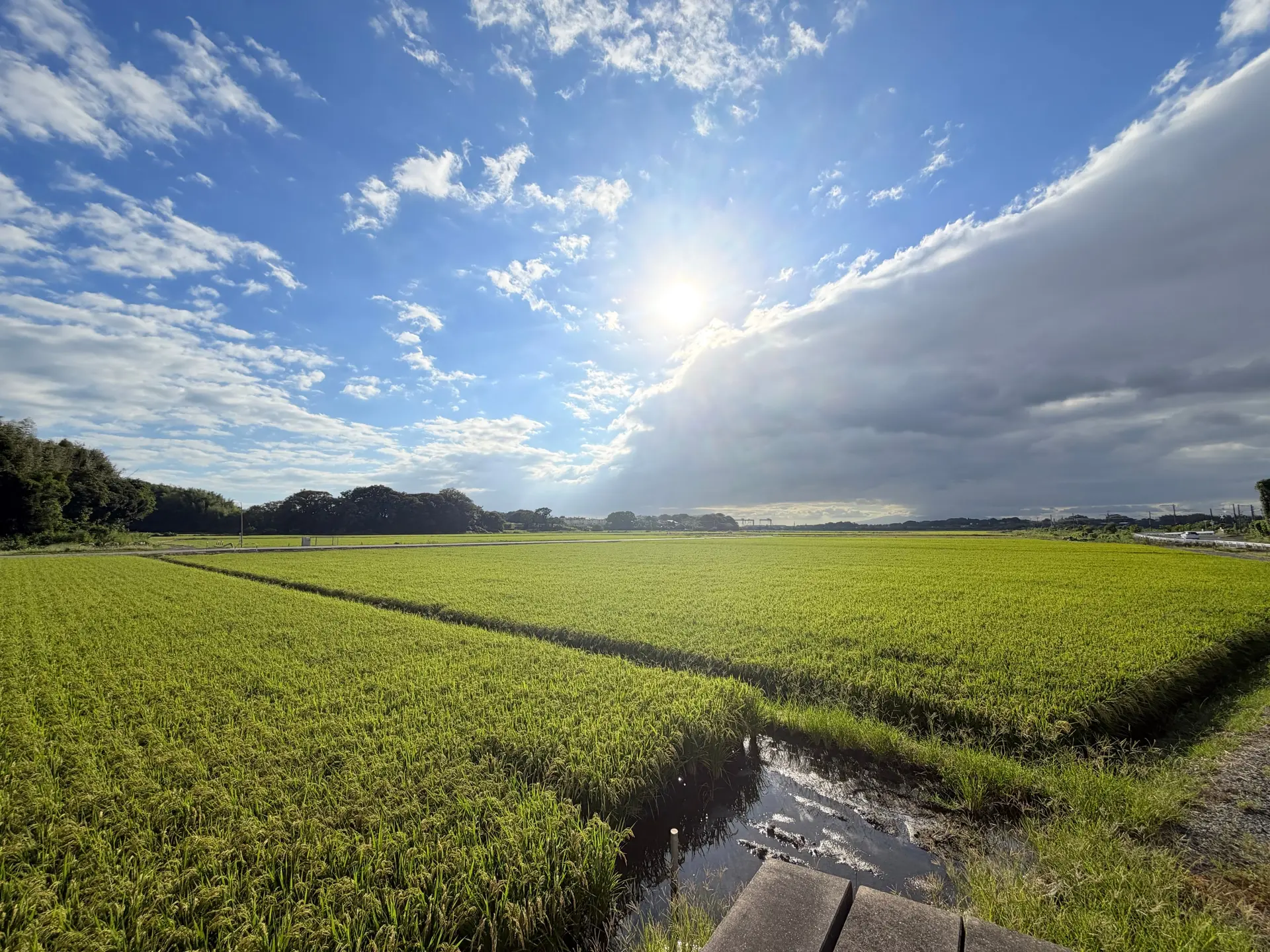 熊本県玉名市の田んぼ。夕方の光と迫力のある雲が広がる景色
